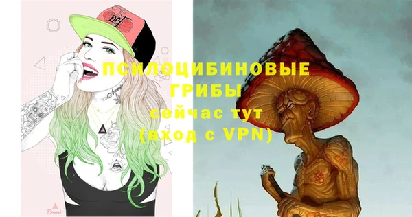 бутират Алексеевка