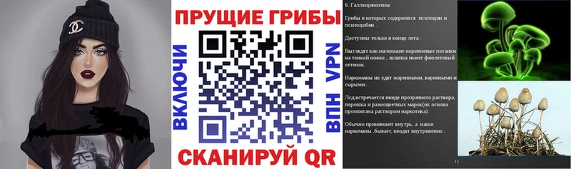 Галлюциногенные грибы прущие грибы  Петухово 